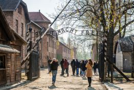 Birkenau Auschwitz guidet tur